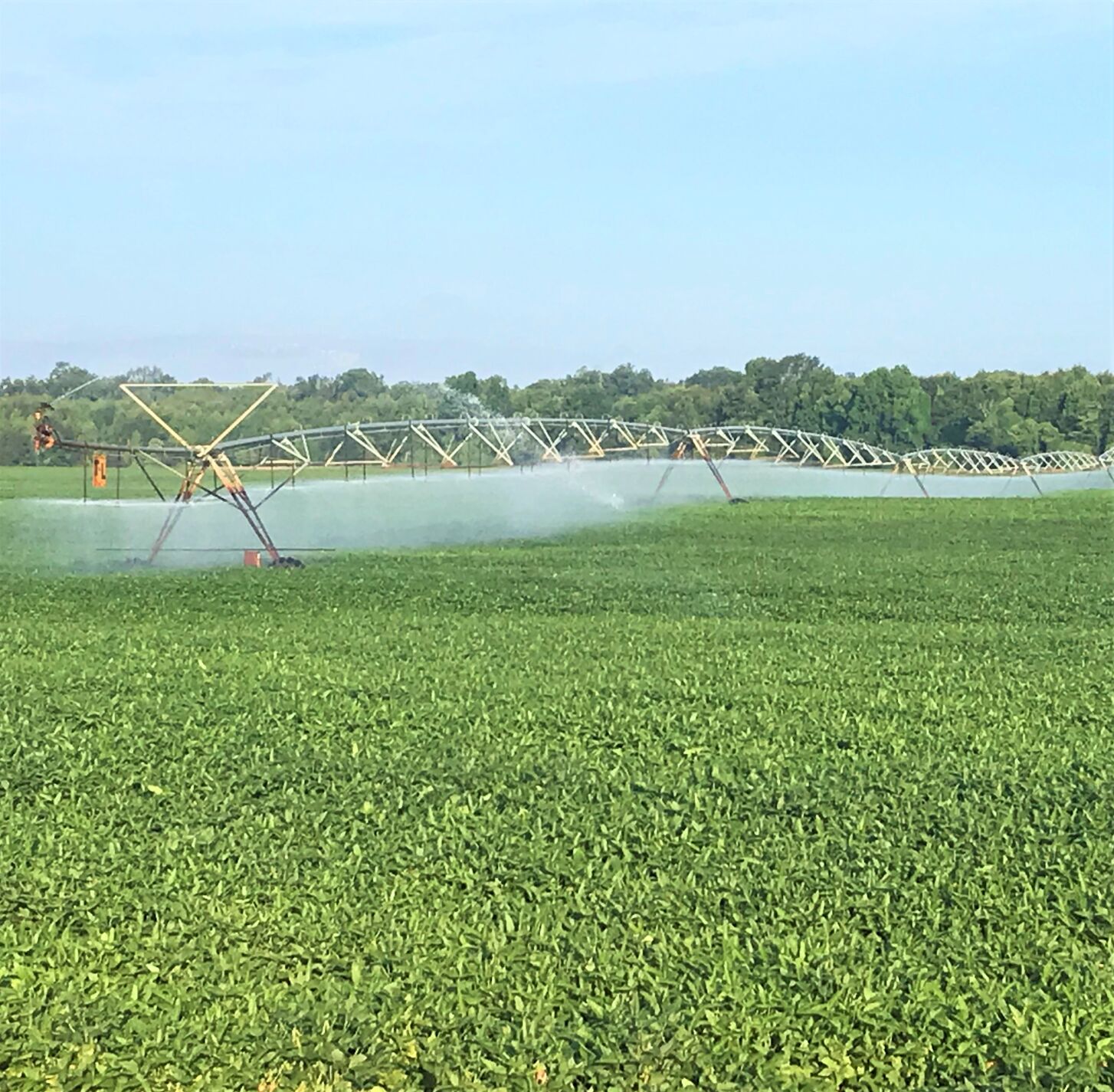 Irrigation begins
